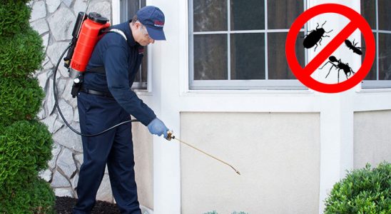 Tarsus Karınca İlaçlama böcek ilaçlama ve haşere kontrolü — ilaclama-tr.com